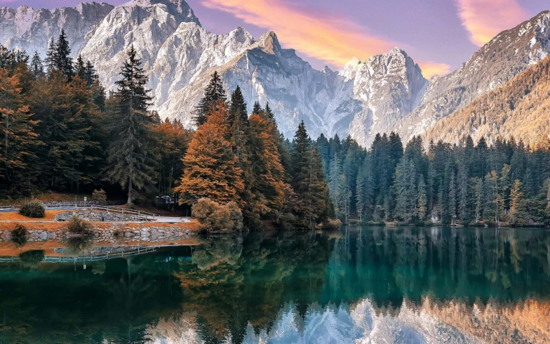 Scanning Electron Microscopy