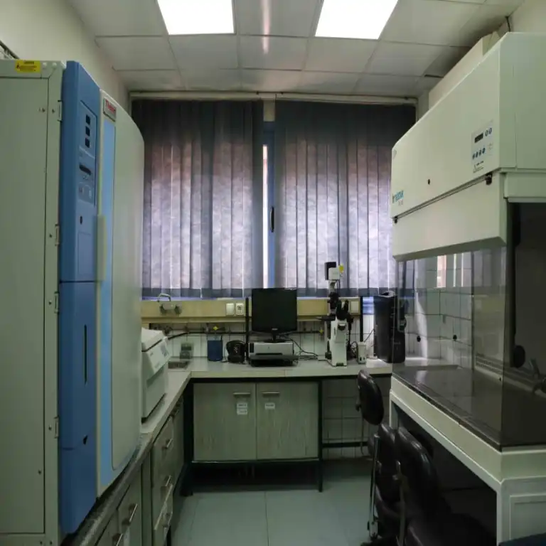 Video Image